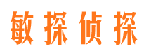 成华市侦探公司